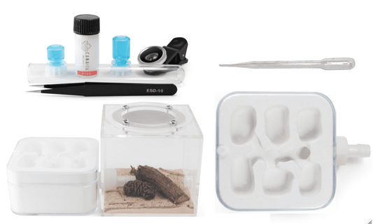 Hydrostone Nest - Camara Starter Kit canada-colony