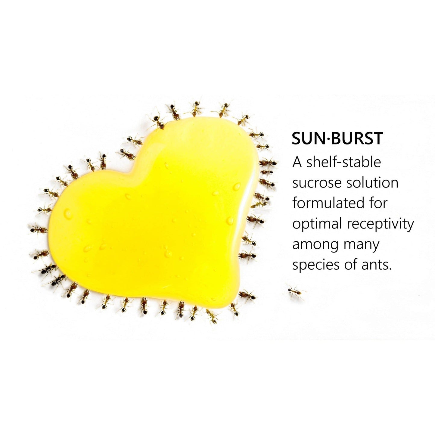 byFormica® Sunburst™ 120ml Ant Nectar canada-colony